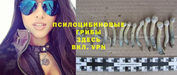 экстази Алексин