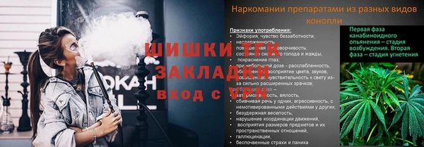 дживик Аркадак