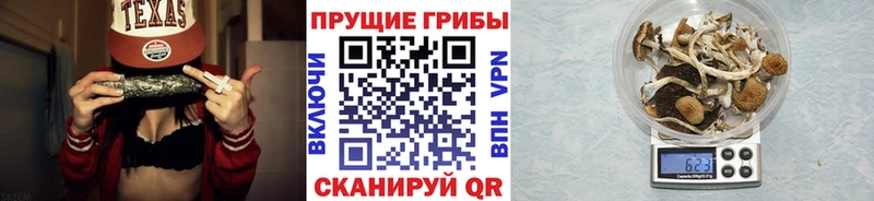 Галлюциногенные грибы Magic Shrooms  Володарск 